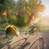 Burley: Bee Single Childing's Bicycle Trailer