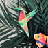 Djeco: Kreativni origami kit egzotične životinje tropici