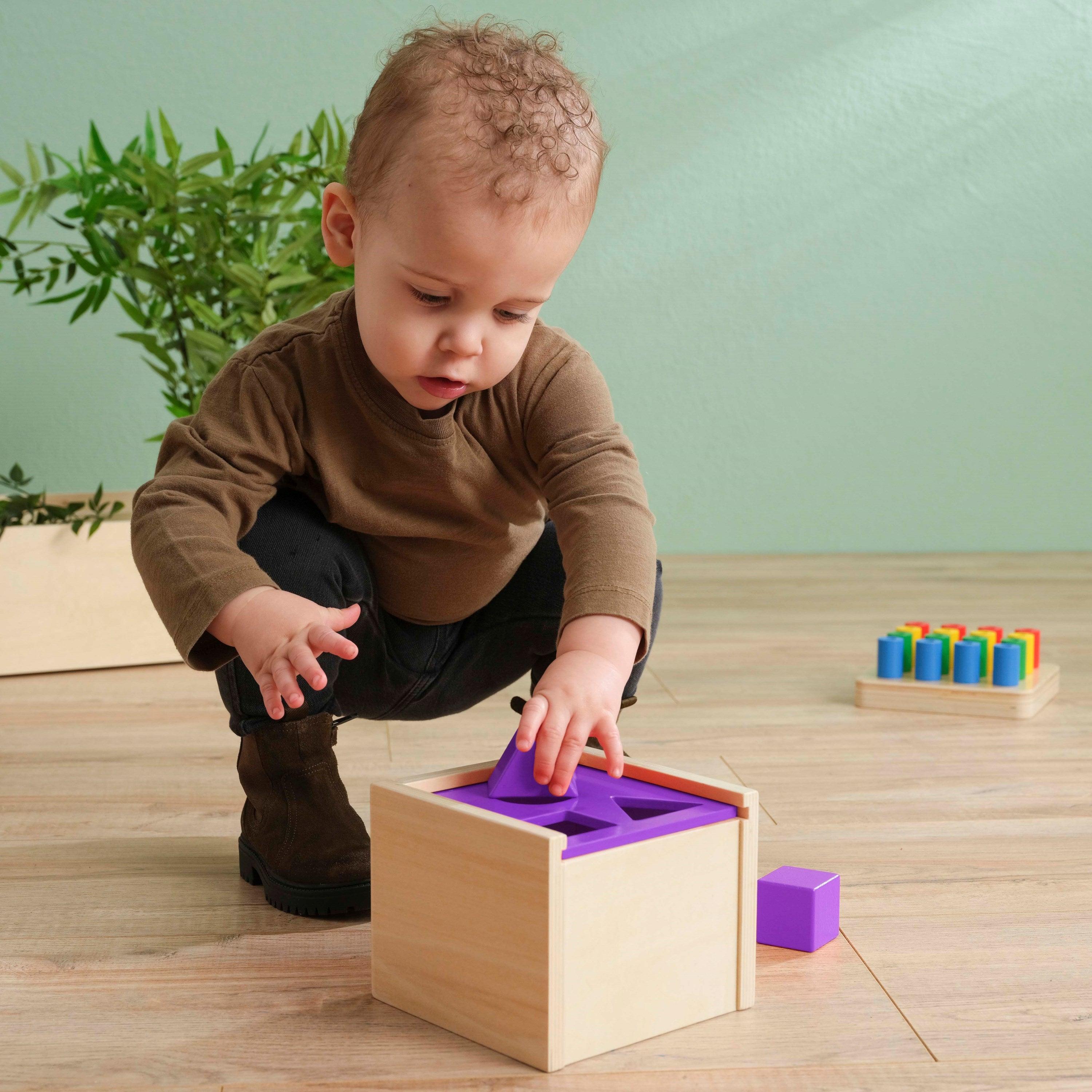 Educo: Sorter Post the Form Montessori