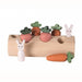 Egmont: wooden sorter Carrot garden of bunnies