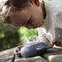 Haba: Glasia de exploración de insectos de Terra Kids