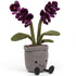 JELLLYCAT: Cuddly vazoninė gėlė, linksma orchidėja 29 cm
