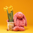 Jellycat: χαριτωμένο νάρκισσος λουλουδιών διασκεδαστικής νάρκης 30 cm