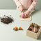 Dječji koncept: drveni biljni biljni kutija bistro bistro