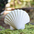 Lanco: přírodní gumová koncha shell