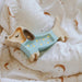 Majhne luči: pasja svetilka mini marjetica na modri barvi