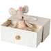 Maileg: Dancer Mouse în sertar Mouse în patul de zi cu sora mică 10 cm
