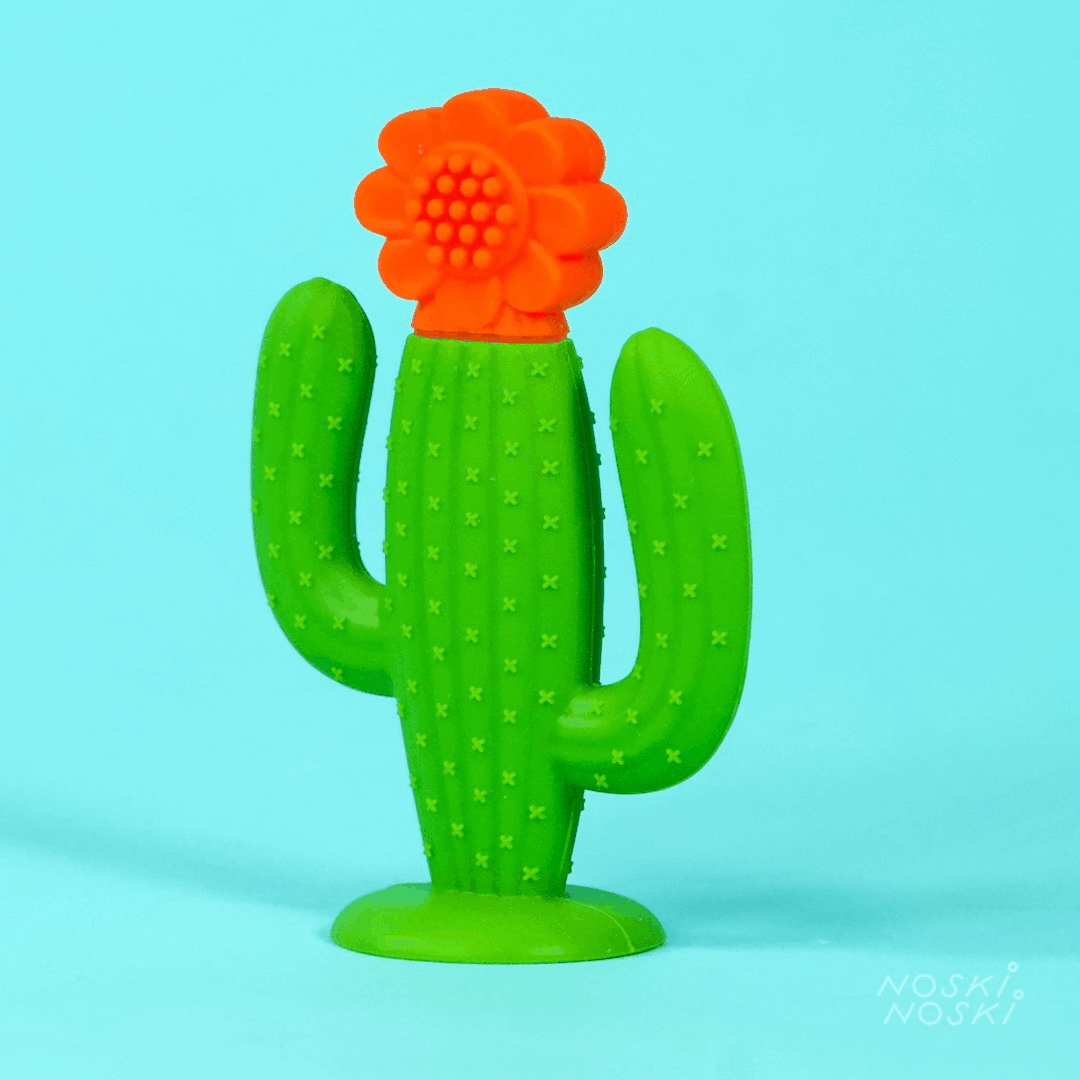 Hračka na Manhattanu: silikonový teether kaktus
