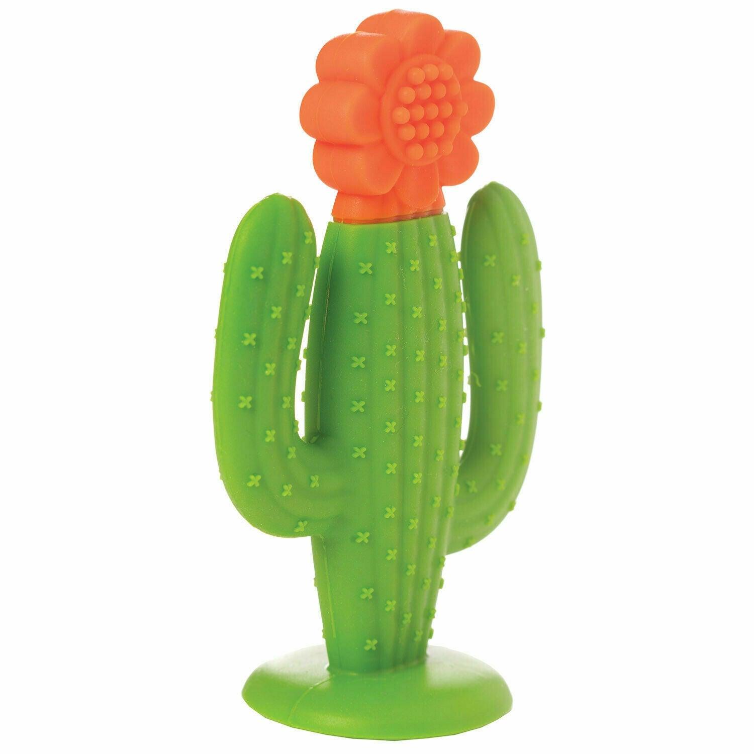 Manheteno žaislas: silikono dantų kaktusas