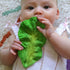 Oli and Carol: rubber kale chew Kendall the Kale - Kidealo