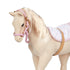 Η γενιά μας: Horse Foal Palomino πουλάρι 30 cm