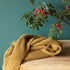 Poofi: cobertor de algodão orgânico e cor de tecido