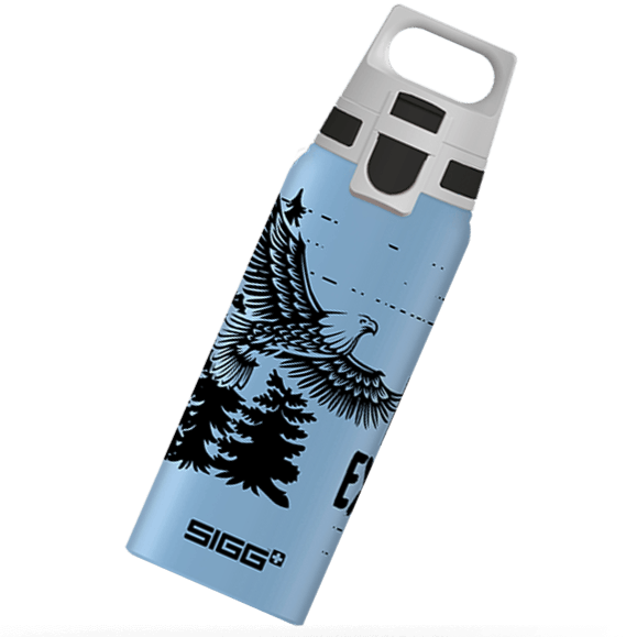 Sigg: botella de agua para niños una botella de aluminio valiente 0,6 L
