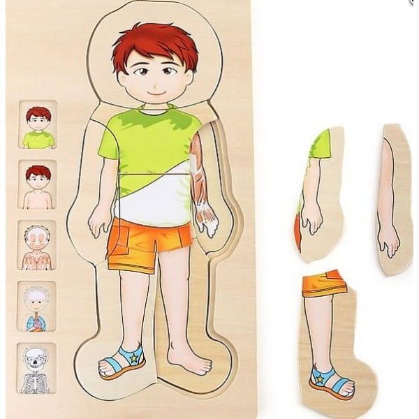 Small Foot: wooden puzzle with a boy Anatomy - Kidealo