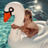 SunnyLife: Luxe Swan täispuhutav ujumisratas