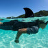SwimFin: shark fin for learning to swim