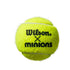 Valige: Minions Tennise juunioride pallid